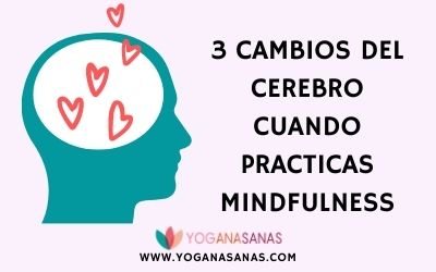 3 cambios del cerebro cuando practicas mindfulness