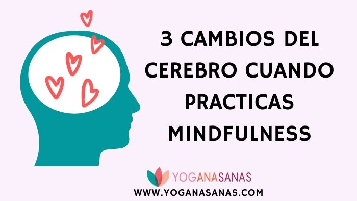 imagen blog cambios cerebro mindfulness